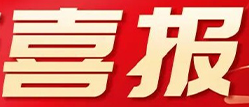 龙岗引力・企聚未来｜中南国际荣膺深圳龙岗区“营利性服务业百强企业”